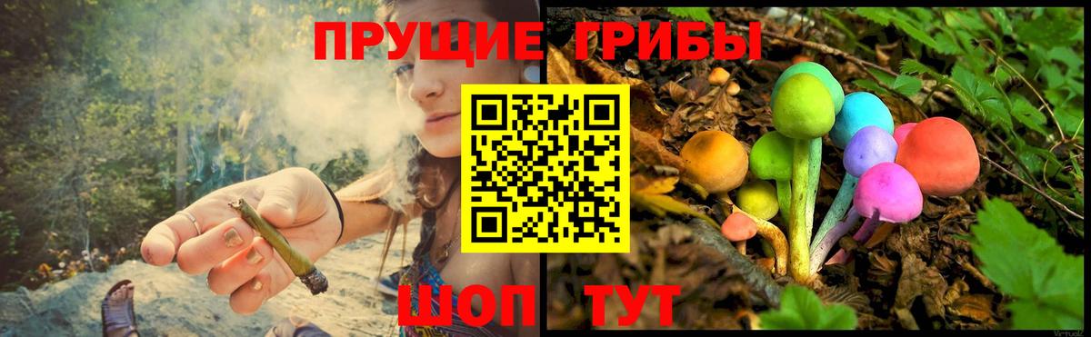 Псилоцибиновые грибы MAGIC MUSHROOMS  Галлюциногенные грибы Psilocybine cubensis  как найти наркотики  Сосновоборск  Вход с VPN 