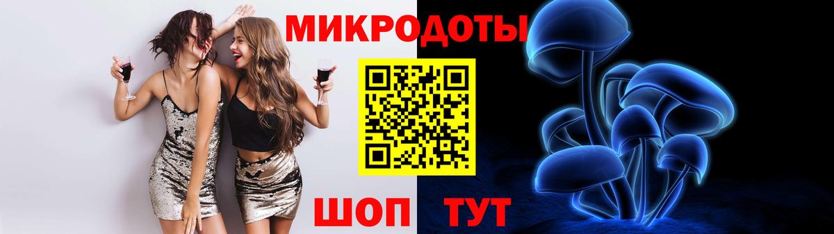 Псилоцибиновые грибы Cubensis Сосновоборск